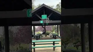 walking in Tri City Park, Placentia on a Friday afternoon.