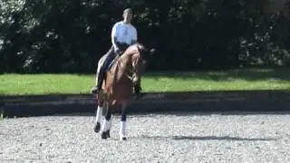 W.Esther de Jeu training with Ellen Bontje at Gut Neuhof