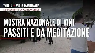 Vini Passiti e da Meditazione: un viaggio tra follia, tempo ed emozioni | Volta Mantovana 🍇