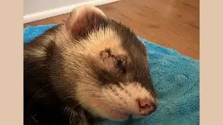 Simon had surgery to remove his right eye