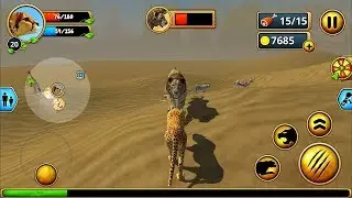 Cheetah Family Sim - Animal Simulator Android iOS Gameplay #5