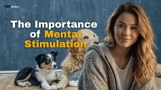 Bored Pets = Bad Behavior  (Fix It with Mental Stimulation!)