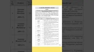 PEDO Jobs 2022 | Pakhtunkhwa Energy Department Organization