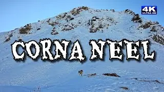Corna Neel