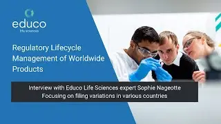 Regulatory Lifecycle Management of Worldwide Products &ndash; Filing Variations