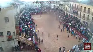 EN DIRECTO | Mañana de Sábado de Carnaval en la Plaza Mayor de Ciudad Rodrigo