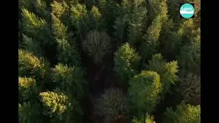 World Environment Day (5 June)