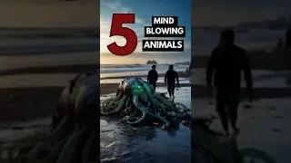 Discover 5 mind-blowing creatures that&rsquo;ll leave you speechless! #NatureIsWild #WeirdAnimals #facts