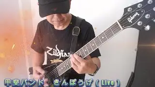 甲斐バンド　きんぽうげ