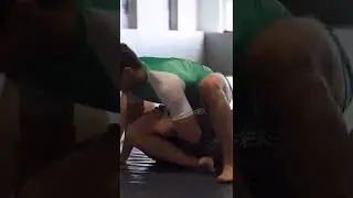 Readjusting the Tarikoplata