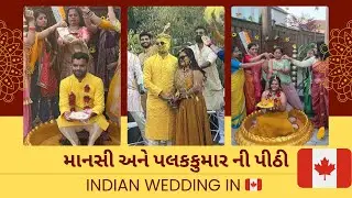 Hindu Gujarati wedding in canada| gujarati wedding highlights Toronto | Pithi ceremony| Haldi rasam