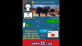 22nd September 2025 | Monday | My Telenor App Today Questions Answers #mytelenoranswerstoday