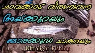 ഇവിടുത്തെ മീനൊക്കെ ഭ്രാന്തായോ😱😱😱 Inshore Light Fishing #inshorefishingkerala King Fish barracuda