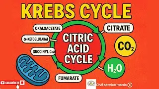 L-62; Krebs Cycle I Citric Acid cycle in Hindi #upscagricultureoptional