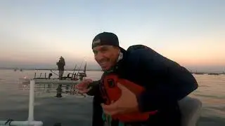 San Diego Bay lobster hooping Solo Skiff