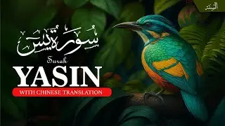 Surah Yasin Recitation with Chinese Translation | Memorize the Holy Quran