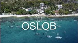 Oslob Philippines - Swimming with Whale Shark