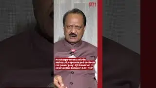 No disagreements within Mahayuti, separate poll contests not power play: Ajit Pawar