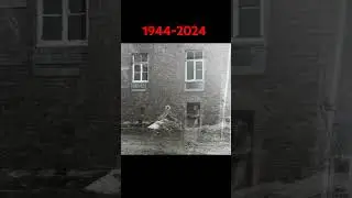 From WWII to Modern Day: 1944-2024 War and Memory #shorts #youtubeshorts