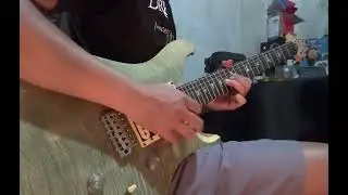 PRS SE Custom 24 Trampas Green High Gain Amp