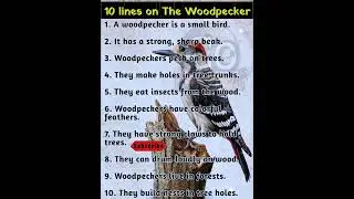 10 lines essay on The Woodpecker in english || Paragraph on The Woodpecker  @CarryOn-360 #shorts