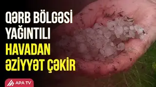 Tovuza düşən dolu kəndlərdə bir sıra fəsadlar yaratdı – APA TV