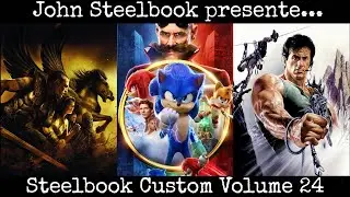 Steelbook Custom Volume 24 (17 Custom + 1 modification)