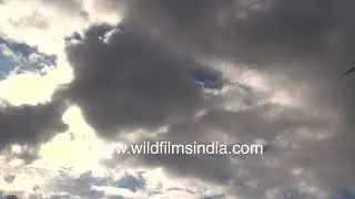 Clouds paint the Himalayan sky, burnished by the sun's glow: ephemeral artwork on the go