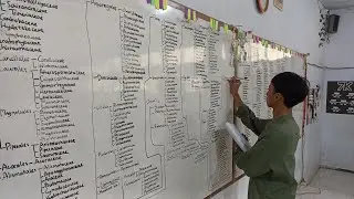 Filogenetik Angiospermae (Sistem APG IV)