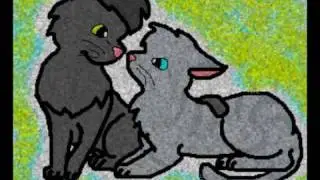 Graystripe and Silverstream- you are not alone
