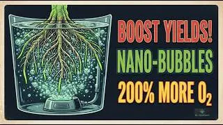 Increase Yields & Potency! - Unlocking Peak Performance  Nano-Bubble Hyper-Oxygenation: