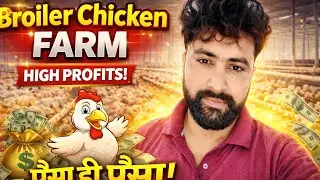 Broiler Chicken Farming Full Guide | मुर्गी पालन से लाखों कमाएं Broiler Chicken Farm Business 2026 |