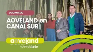 AOVEland en directo CANALSUR - Programa de Juan y medio
