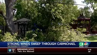 Strong winds bring down trees, damaging neighborhoods in Carmichael