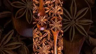 5 Health Benefits of Anise Seeds