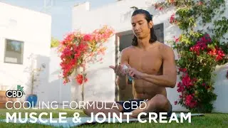 CBDfx CBD Cream for Muscle and Joint: Cooling Formula