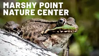 Marshy Point Nature Center  |  Middle River  |  Baltimore, Maryland