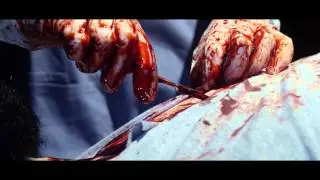 Fear And Wonder - 