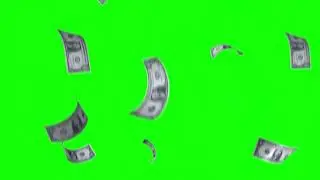 Dollar Rain | Green Screen | Stock Footage