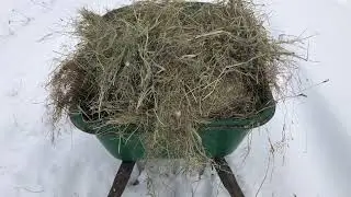 Winteralltag