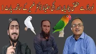 Lovebirds Diseases and their Cures with Dr. Zameer | Part 1| Video No. 52 #lovebirds #urdu #hindi