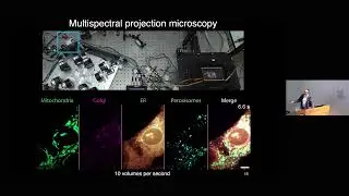 [БЕСЕДКА 7] NGBS2025: Мультиспектральная визуализация живых клеток — Джеймс Мэнтон