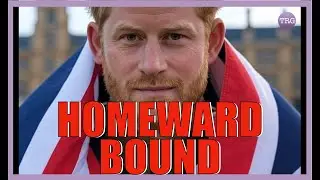 The Process To Bring Prince Harry Back Into The Royal Fold Has BEGUN!