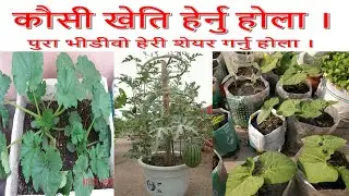 kausi kheti nepal |agriculture nepal | krishi sandesh | kirshi bajar | Rooftop Revolution | krishi