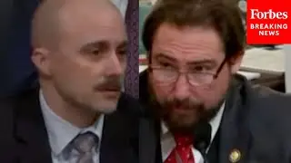 'Did President Biden Lie To The American People?': Eli Crane Grills Witnesses