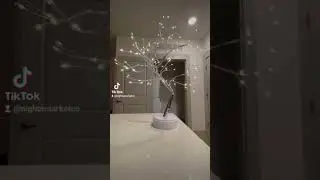 I Am Addicted To This LED Spirit Sapling!!