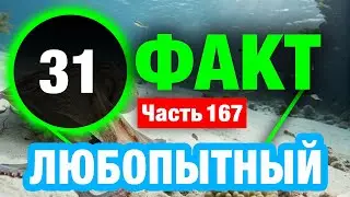 31 Захватывающий Факт Который Вас Удивит