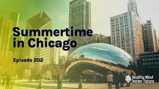 S02E02 - Summertime in Chicago