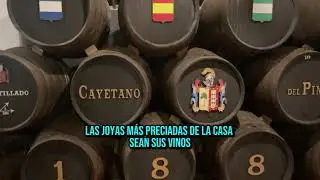 Cayetano del Pino, una bodega centenaria