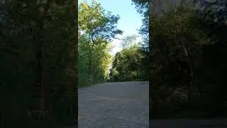 Sound of Birds and Bike#asmr#naturesounds